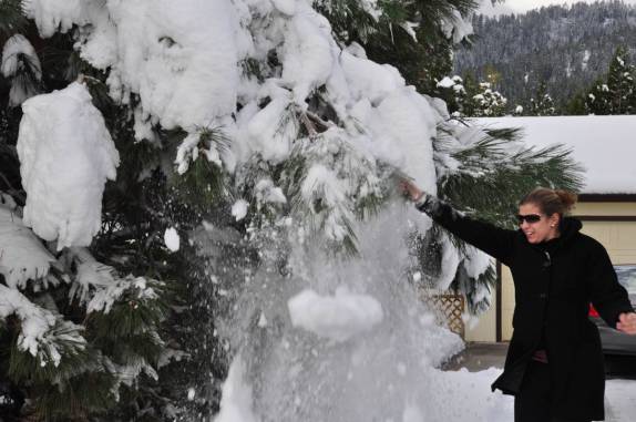 A Ana derruba um bloco de nece de cima de uma árvore em uma estrada próxima à Susanville, na Sierra Nevada, Califórnoa, nos Estados Unidos